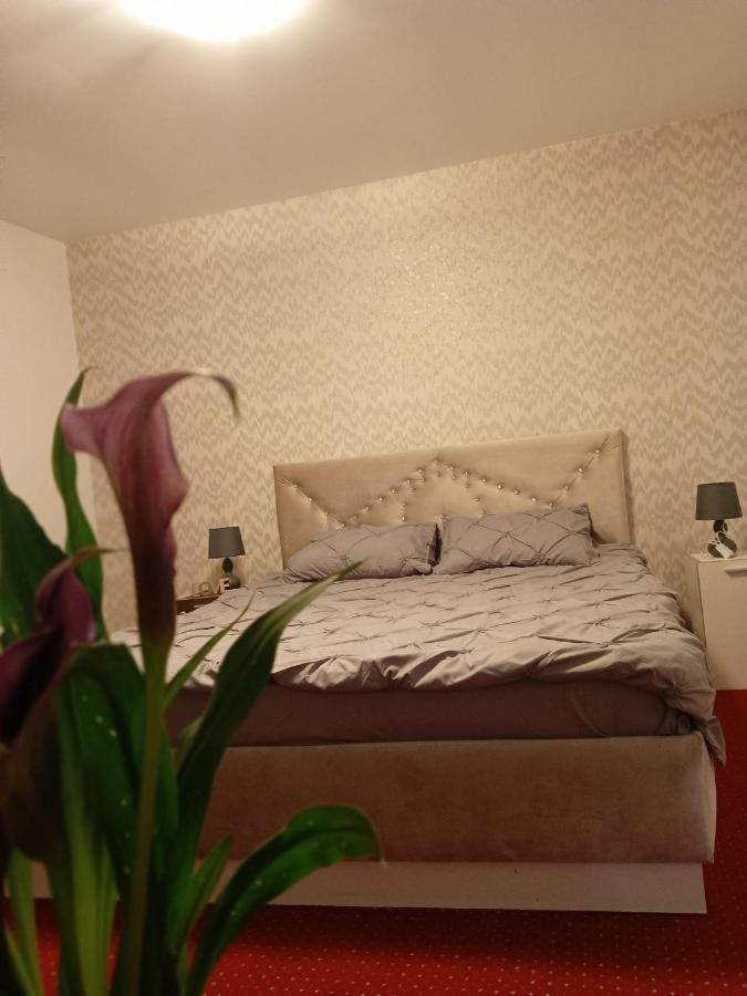 Karina House Daire Braşov Dış mekan fotoğraf