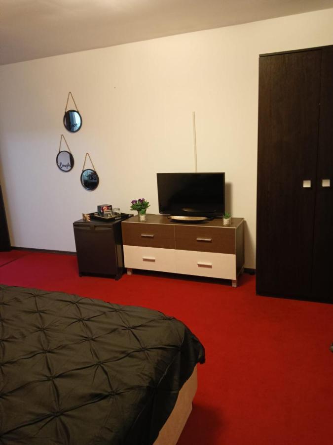 Karina House Daire Braşov Dış mekan fotoğraf