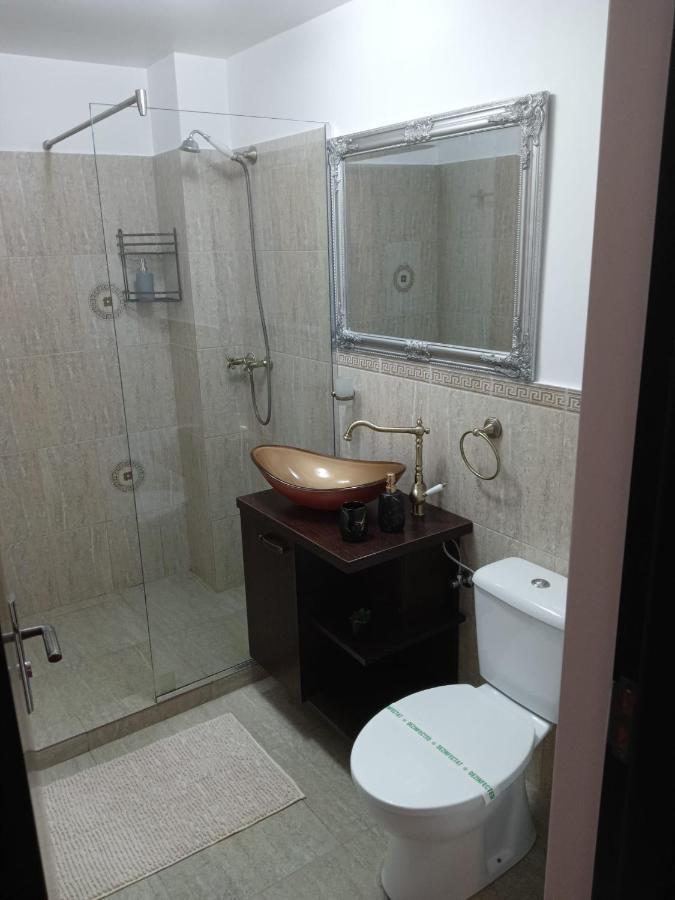 Karina House Daire Braşov Dış mekan fotoğraf