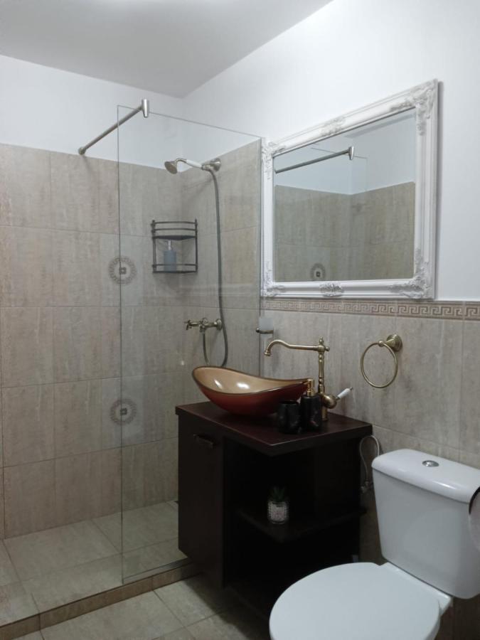 Karina House Daire Braşov Dış mekan fotoğraf