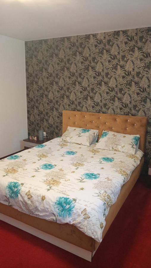 Karina House Daire Braşov Dış mekan fotoğraf